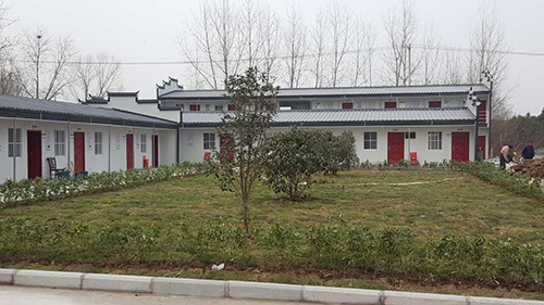 ���ɻ��